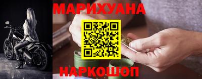 сатива Кунгур