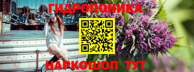 сатива Кунгур
