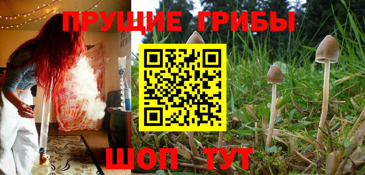 Галлюциногенные грибы мухоморы Заречный