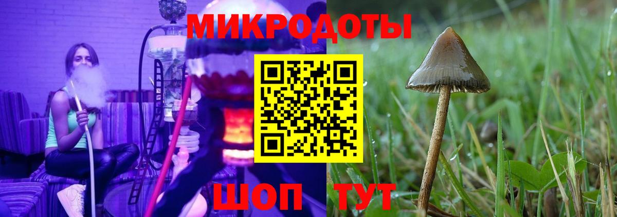 Галлюциногенные грибы Psilocybe  Вход с VPN  Галлюциногенные грибы ЛСД  Заречный 